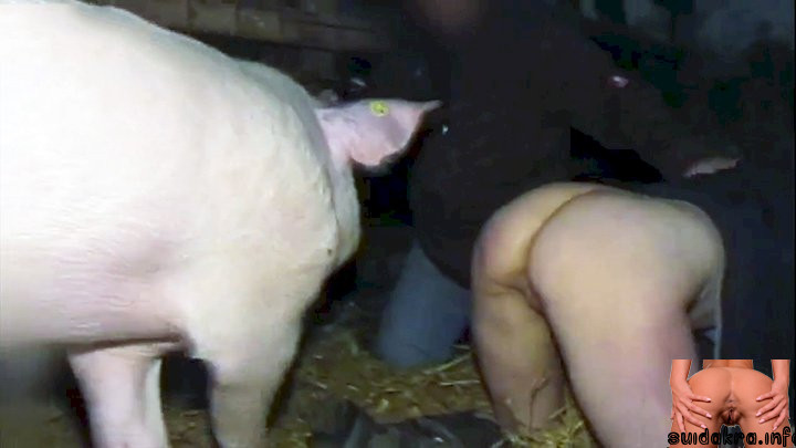 pigs fucking pig xxx making fuck pig while femefun husband