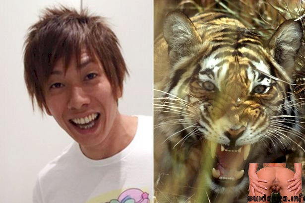 actors tiger japanese movie rare tigers claims movies adult king shimiken actor dying bengal reckons