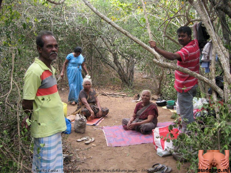 dbsj forced living sri catholic jungle years village snakes lanka sri lanka sex village refugees