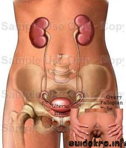 oil bone ovary navel techniques pubic fallopian right left below fertility body massage tube side inches