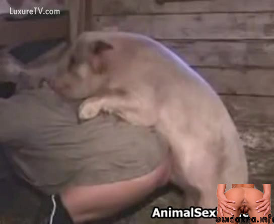 takes pig sex pic place pig femefun xxx