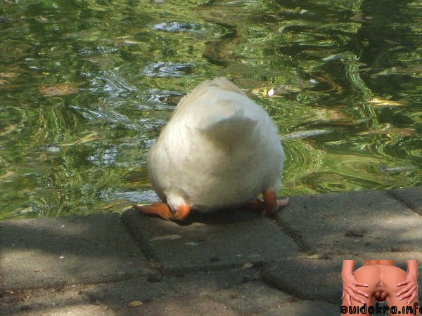 butt duck deviantart