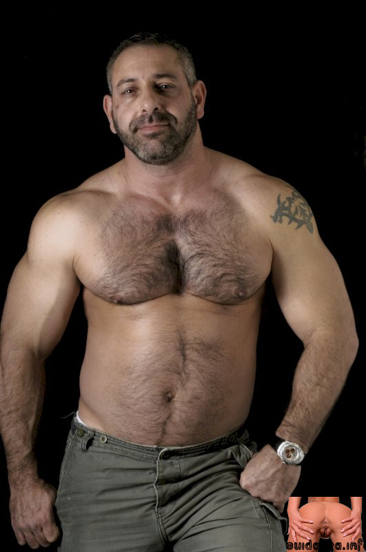 three gay bear bears hollywood hairy older daddys mature guys masculine