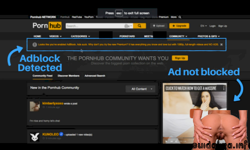 free porn hub for phone pornhub blockers advertisement they websockets bypasses medium