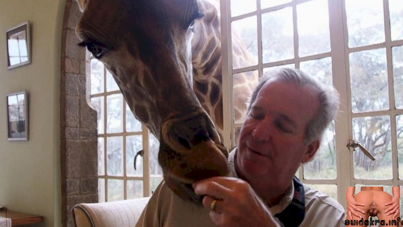 kenyan sanctuary hotel visitors