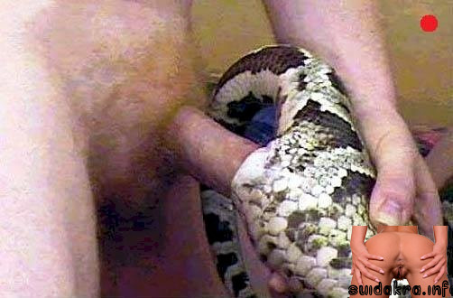 snake beast fuck