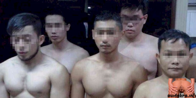 come asian group gay sex indonesia hornet encounters