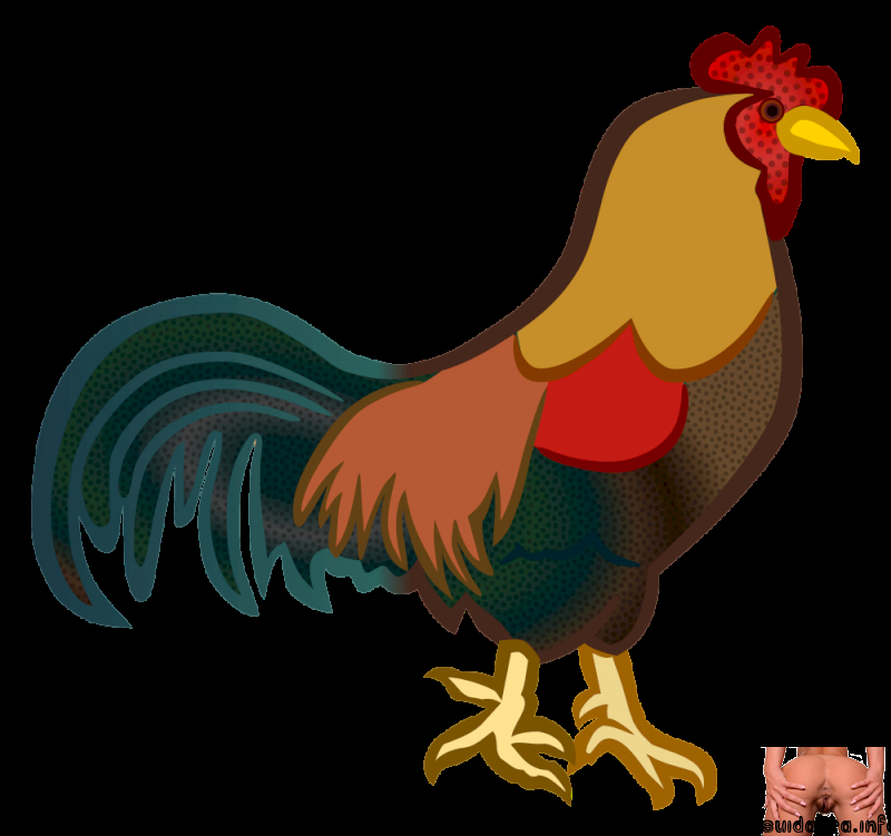 draing cock male onlinelabels clip chicken rooster log cliparts svg hahn line transparent cock colured clipart hen openclipart