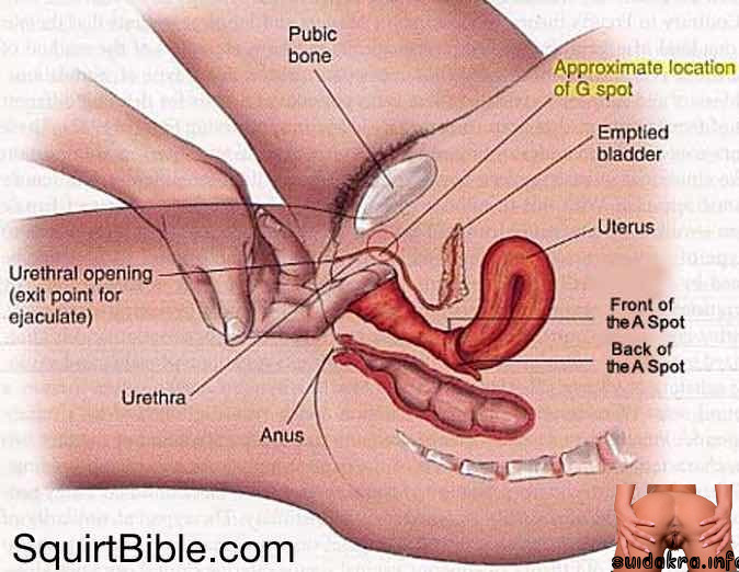 bible squirt how to make yourself squirt orgasm