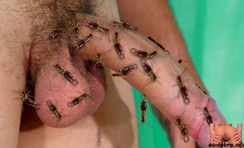 ants bite pussy precum cock tube