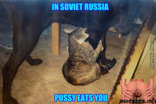 eating memes pussy funny amused et