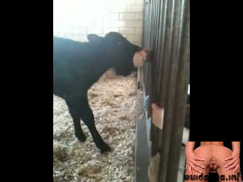 dude sucks cock eating calf