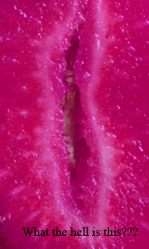 tight teen pussy upclose gifs giphy animated