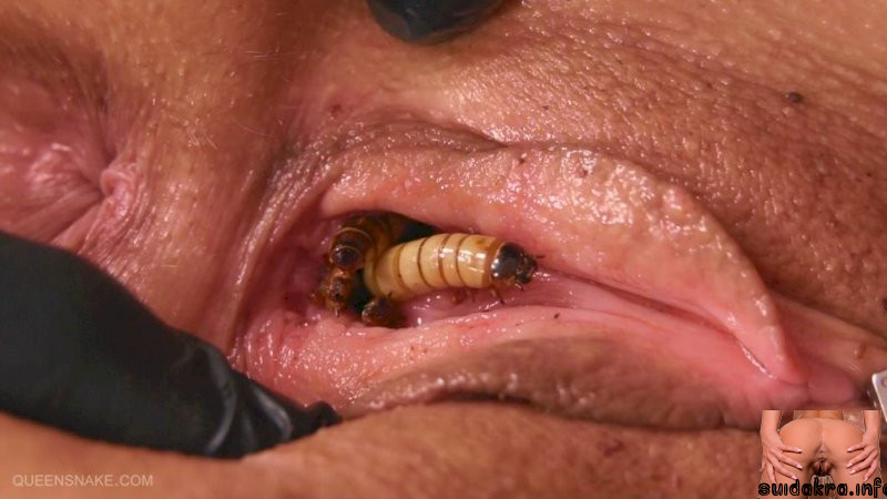 worms insertions pain weird tit bugs in pussy porn vaginal motherless anita